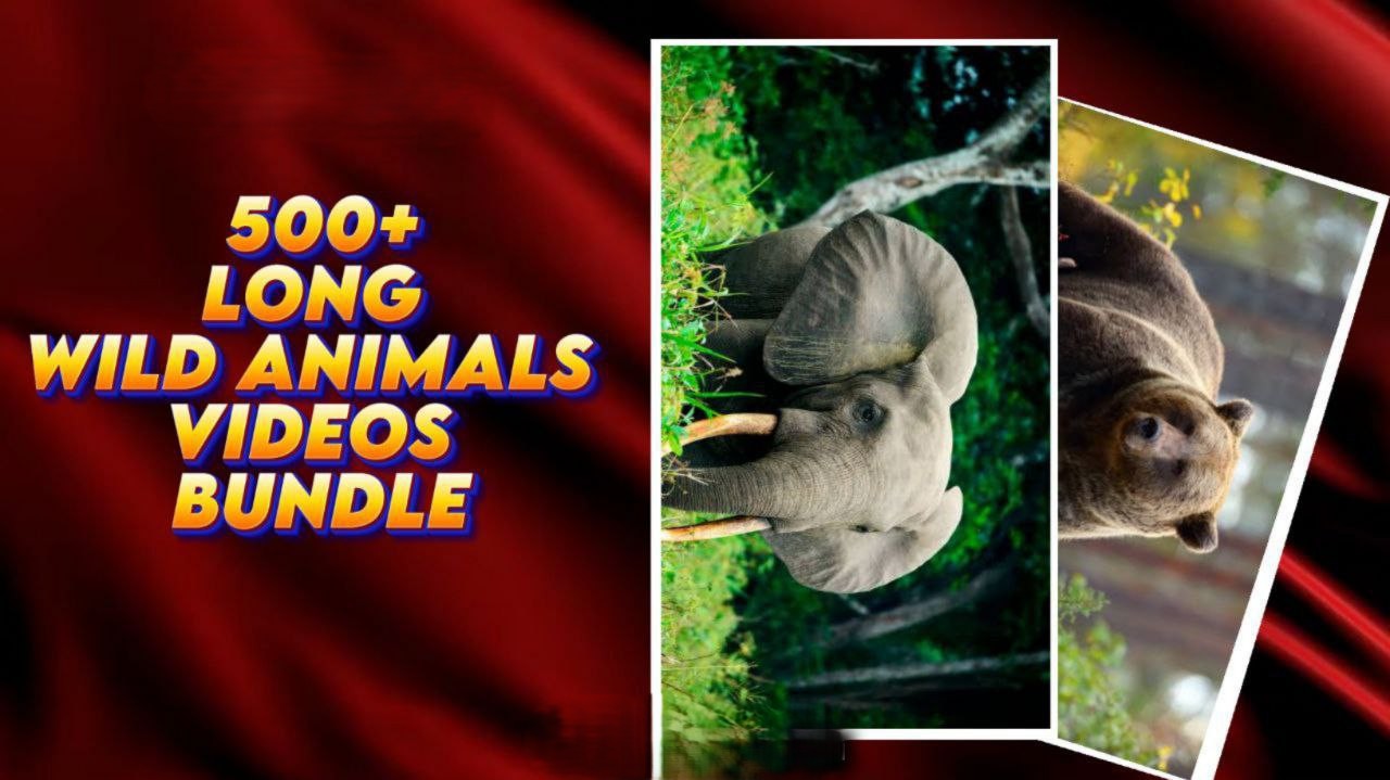 6330138077950577469994